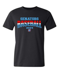 2024 Senator Gradient Baseball