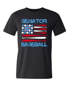 2024 Senator Grunge Baseball Flag