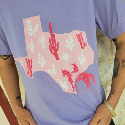 Pink Desert State Texas