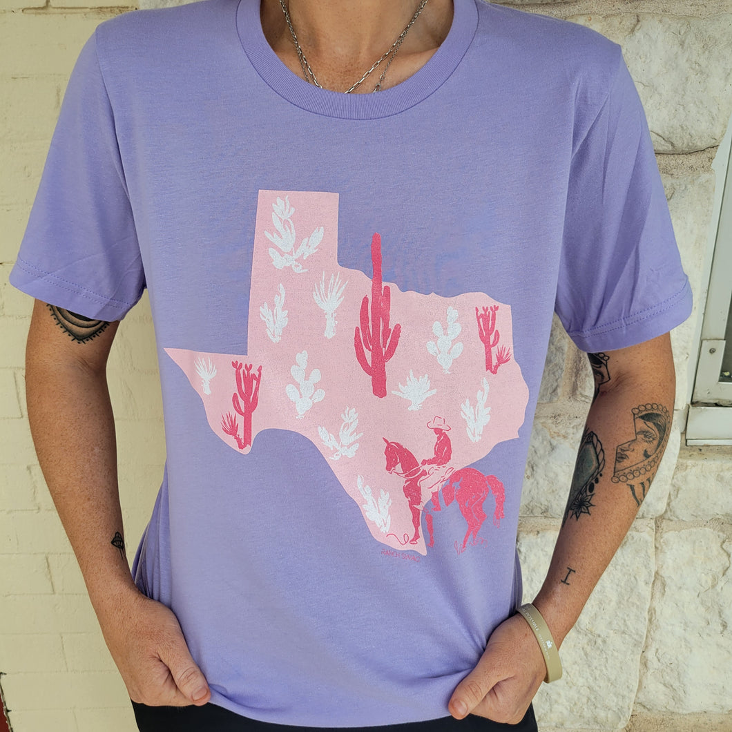 Pink Desert State Texas