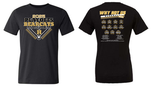 2025 Henrietta Bearcat Baseball Playoffs