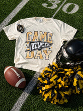 2026 Stripe Game Day Bearcats Pennant