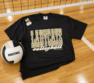 2026 Star LadyCats Volleyball